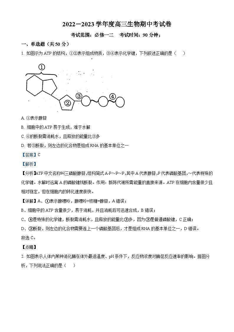 2023阳泉一中高三上学期11月期中生物试题含解析01