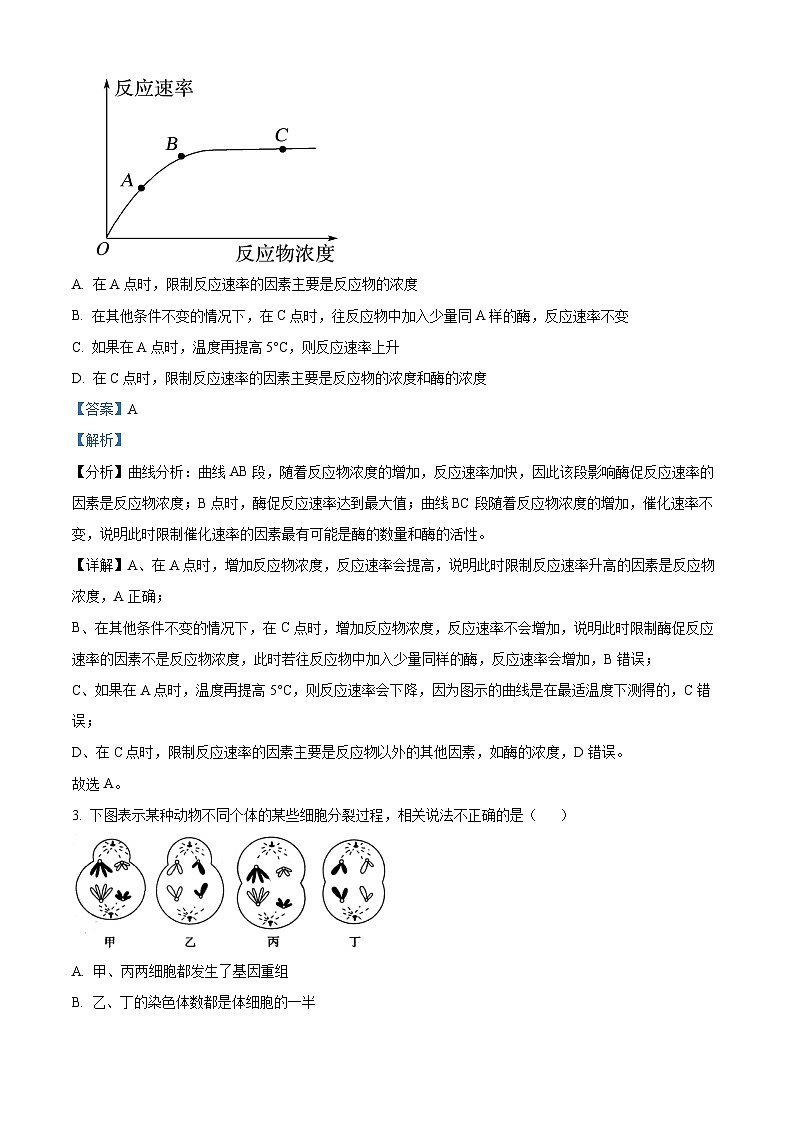 2023阳泉一中高三上学期11月期中生物试题含解析02