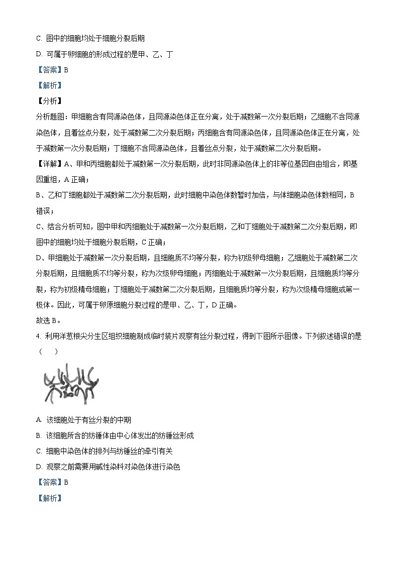 2023阳泉一中高三上学期11月期中生物试题含解析03