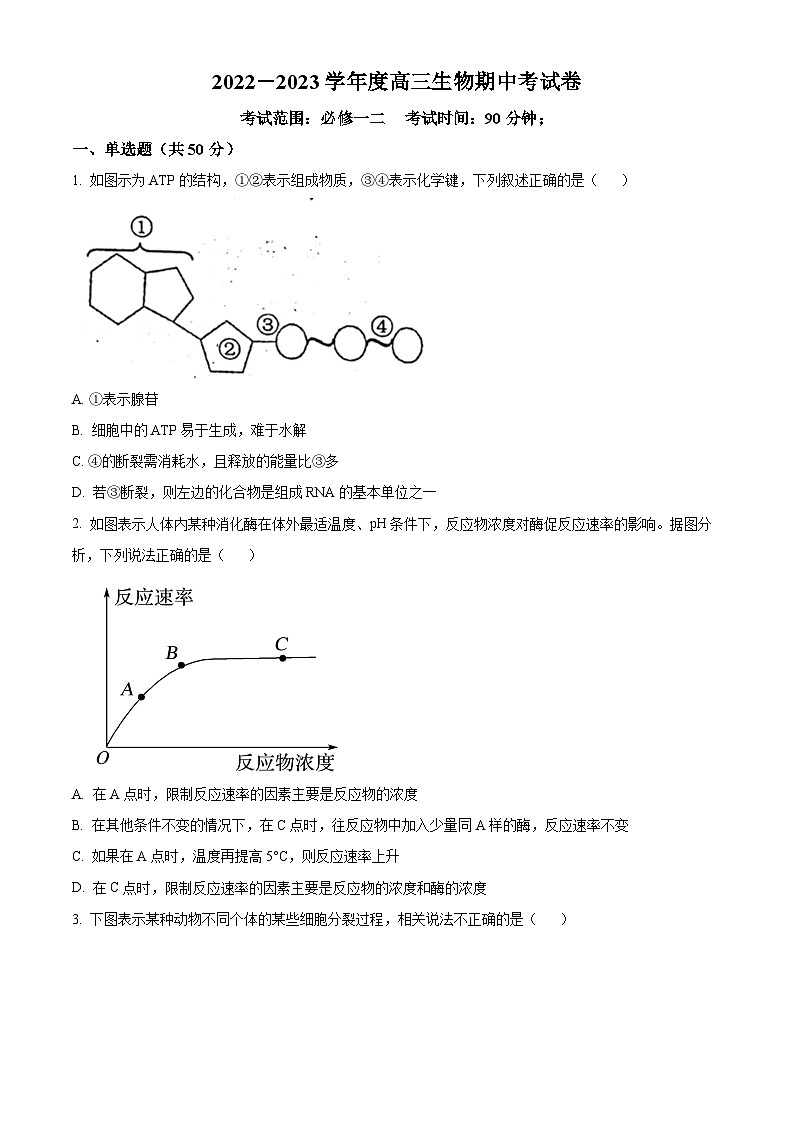 2023阳泉一中高三上学期11月期中生物试题含解析01