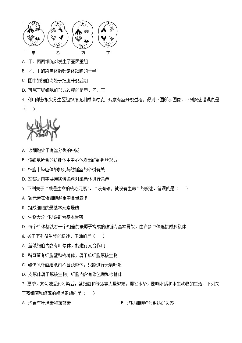 2023阳泉一中高三上学期11月期中生物试题含解析02