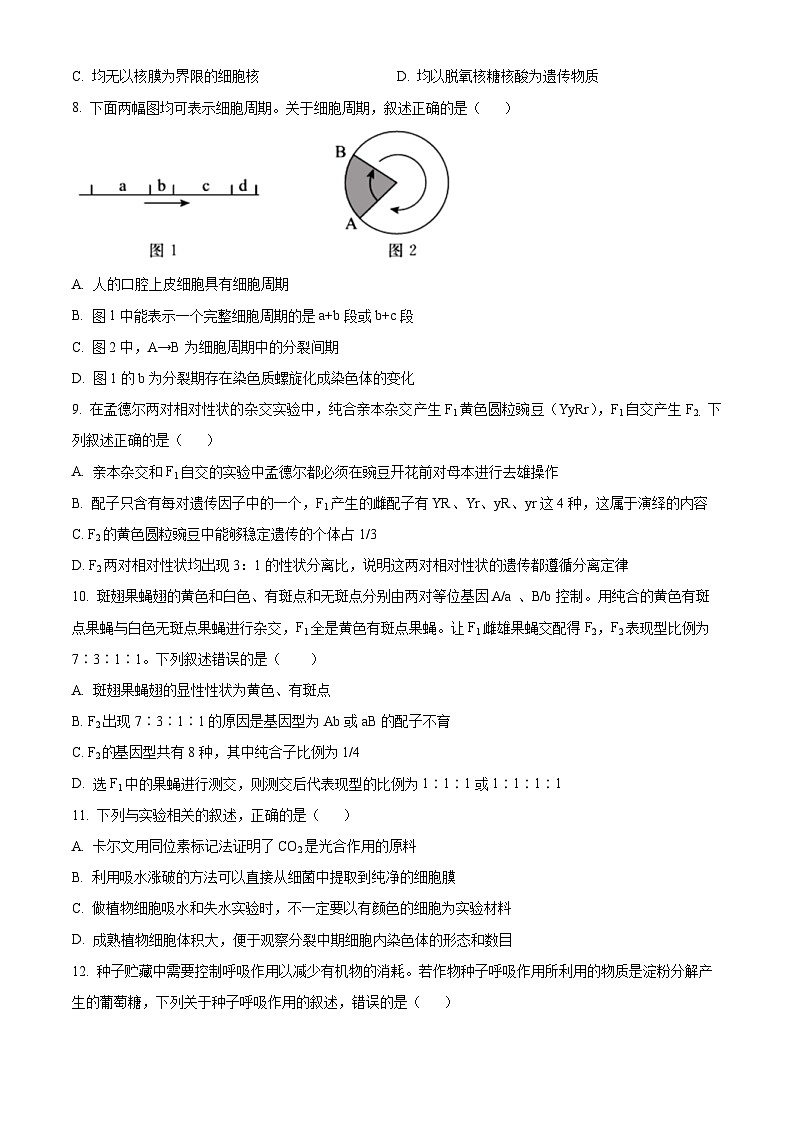 2023阳泉一中高三上学期11月期中生物试题含解析03