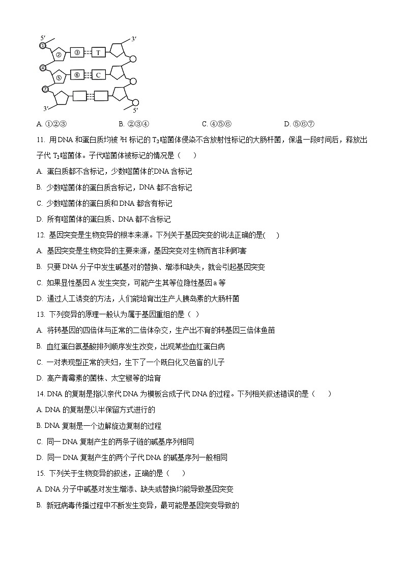 甘肃省张掖市某重点校2023-2024学年高二上学期开学（暑假学习效果）检测生物试题无答案第3页