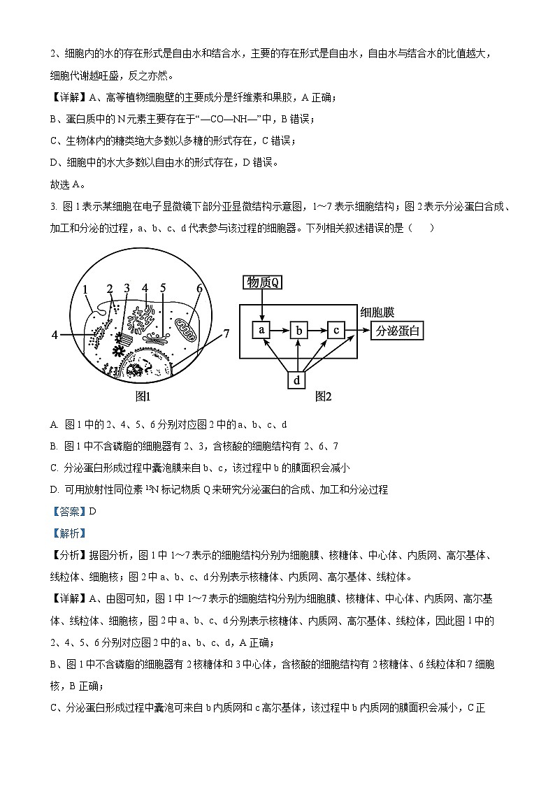 2024阳泉一中高二上学期开学生物试题含解析02