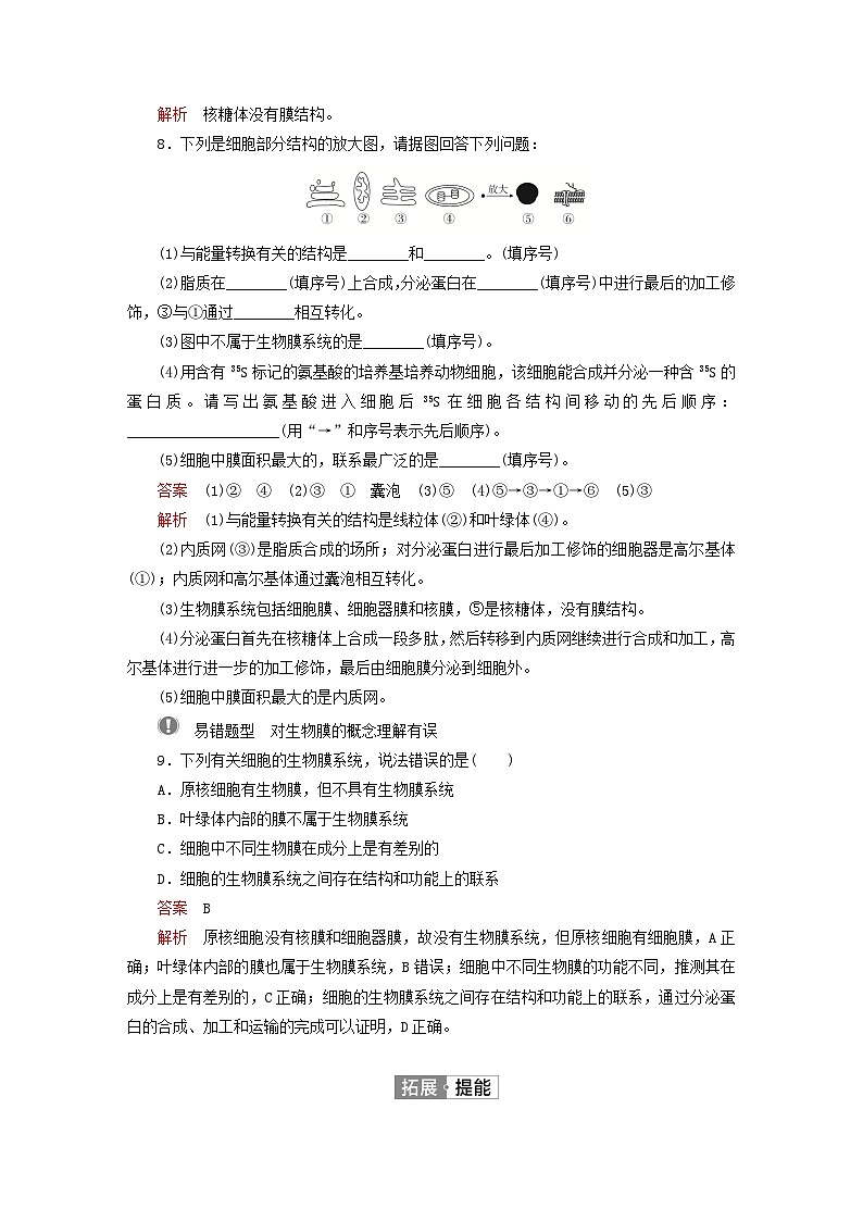 2023新教材高中生物第3章细胞的基本结构第2节细胞器之间的分工合作第2课时细胞器之间的协调配合和生物膜系统对点训练新人教版必修103