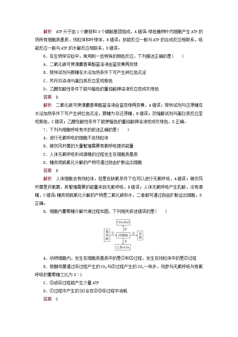 2023新教材高中生物第5章细胞的能量供应和利用章末检测新人教版必修1第3页