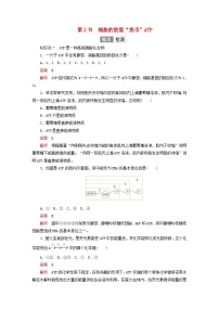 高中生物第2节 细胞的能量“货币”ATP达标测试