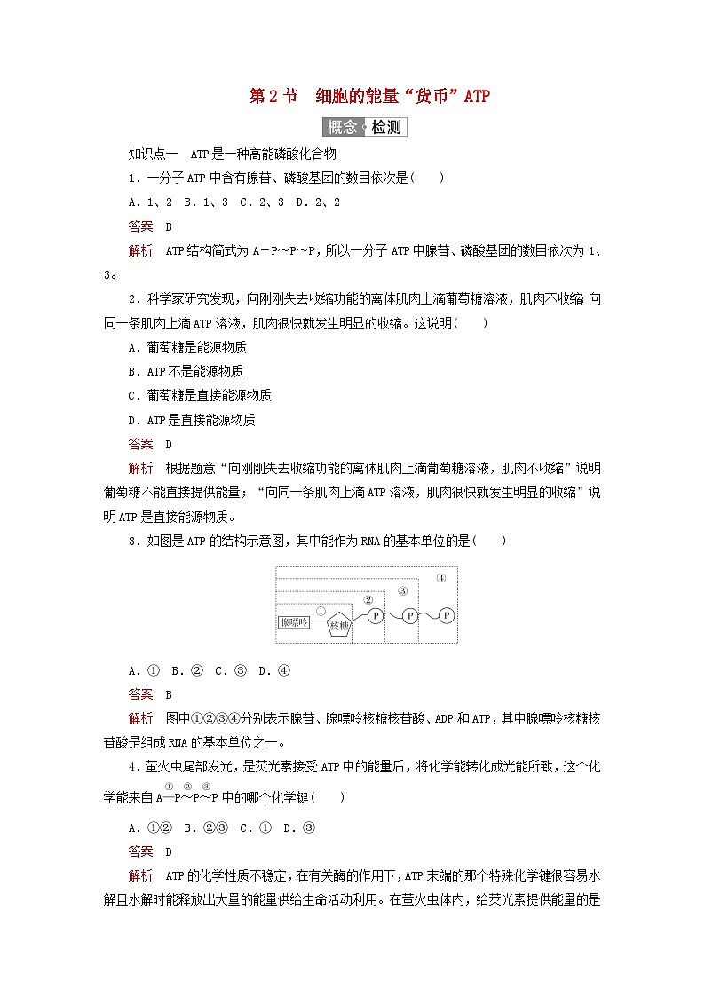 2023新教材高中生物第5章细胞的能量供应和利用第2节细胞的能量“货币”ATP对点训练新人教版必修1第1页