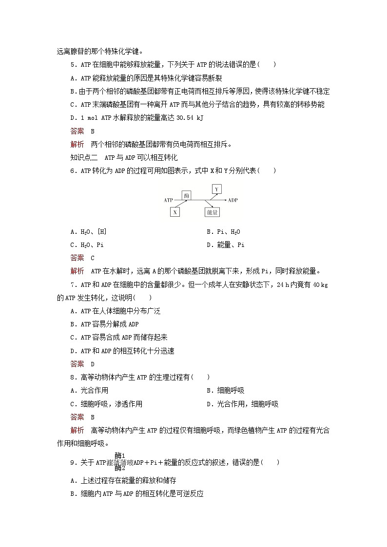 2023新教材高中生物第5章细胞的能量供应和利用第2节细胞的能量“货币”ATP对点训练新人教版必修1第2页