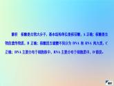 2023新教材高中生物第2章组成细胞的分子第5节核酸是遗传信息的携带者作业课件新人教版必修1