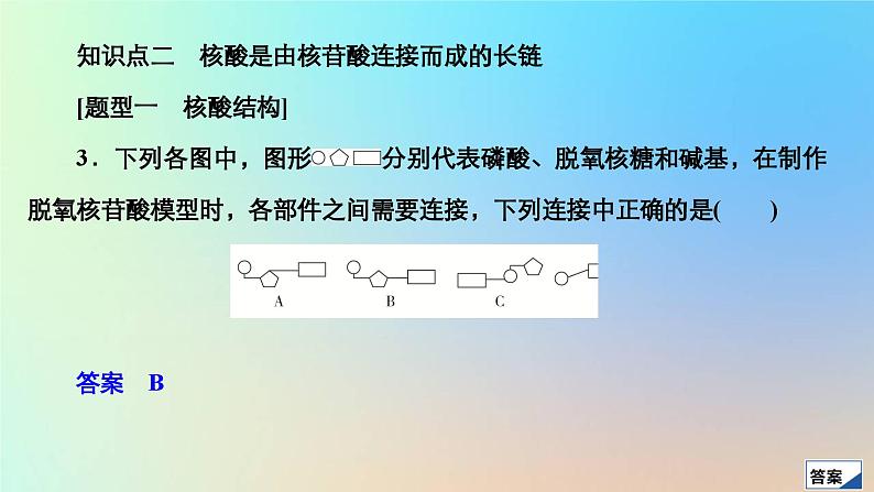 2023新教材高中生物第2章组成细胞的分子第5节核酸是遗传信息的携带者作业课件新人教版必修1第6页