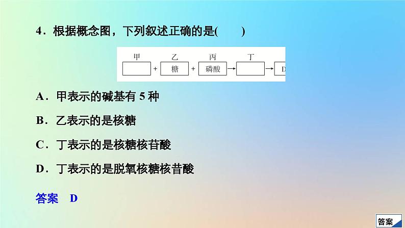 2023新教材高中生物第2章组成细胞的分子第5节核酸是遗传信息的携带者作业课件新人教版必修1第8页