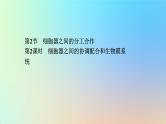 2023新教材高中生物第3章细胞的基本结构第2节细胞器之间的分工合作第2课时细胞器之间的协调配合和生物膜系统作业课件新人教版必修1