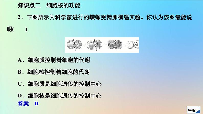 2023新教材高中生物第3章细胞的基本结构第3节细胞核的结构和功能作业课件新人教版必修1第4页