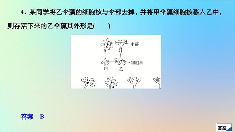 2023新教材高中生物第3章细胞的基本结构第3节细胞核的结构和功能作业课件新人教版必修1第8页