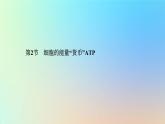 2023新教材高中生物第5章细胞的能量供应和利用第2节细胞的能量“货币”ATP作业课件新人教版必修1