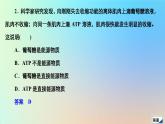 2023新教材高中生物第5章细胞的能量供应和利用第2节细胞的能量“货币”ATP作业课件新人教版必修1