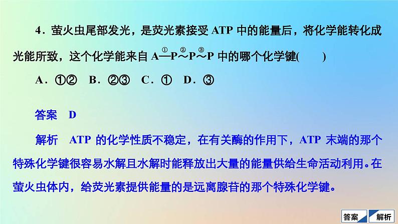 2023新教材高中生物第5章细胞的能量供应和利用第2节细胞的能量“货币”ATP作业课件新人教版必修1第7页