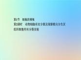 2023新教材高中生物第6章细胞的生命历程第1节细胞的增殖第2课时动物细胞有丝分裂及观察根尖分生区组织细胞有丝分裂实验作业课件新人教版必修1