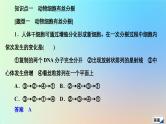 2023新教材高中生物第6章细胞的生命历程第1节细胞的增殖第2课时动物细胞有丝分裂及观察根尖分生区组织细胞有丝分裂实验作业课件新人教版必修1