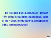 2023新教材高中生物第6章细胞的生命历程第1节细胞的增殖第2课时动物细胞有丝分裂及观察根尖分生区组织细胞有丝分裂实验作业课件新人教版必修1