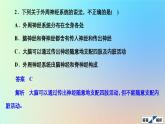 2023新教材高中生物第2章神经调节第1节神经调节的结构基础作业课件新人教版选择性必修1