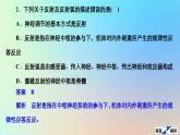 2023新教材高中生物第2章神经调节第2节神经调节的基本方式作业课件新人教版选择性必修1