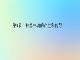 2023新教材高中生物第2章神经调节第3节神经冲动的产生和传导作业课件新人教版选择性必修1