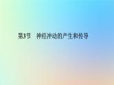 2023新教材高中生物第2章神经调节第3节神经冲动的产生和传导作业课件新人教版选择性必修1
