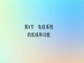 2023新教材高中生物第4章免疫调节第1节免疫系统的组成和功能作业课件新人教版选择性必修1