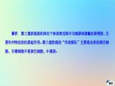2023新教材高中生物第4章免疫调节第2节特异性免疫作业课件新人教版选择性必修1