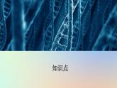 2023新教材高中生物第一章遗传的基本规律第一节孟德尔从一对相对性状的杂交实验中总结出分离定律第一课时一对相对性状杂交实验的过程和解释课件浙科版必修2