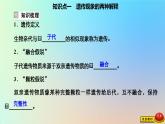 2023新教材高中生物第一章遗传的基本规律第一节孟德尔从一对相对性状的杂交实验中总结出分离定律第一课时一对相对性状杂交实验的过程和解释课件浙科版必修2
