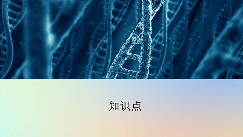 2023新教材高中生物第一章遗传的基本规律第一节孟德尔从一对相对性状的杂交实验中总结出分离定律第三课时分离定律的解题方法及技能课件浙科版必修203