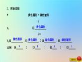2023新教材高中生物第一章遗传的基本规律第二节孟德尔从两对相对性状的杂交实验中总结出自由组合定律第一课时两对相对性状杂交实验的过程和解释课件浙科版必修2