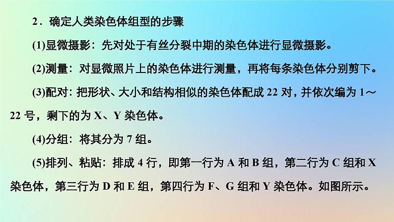 2023新教材高中生物第二章染色体与遗传第三节性染色体上基因的传递和性别相关联课件浙科版必修205