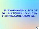 2023新教材高中生物第三章遗传的分子基础水平测试课件浙科版必修2
