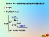 2023新教材高中生物第三章遗传的分子基础第一节核酸是遗传物质课件浙科版必修2