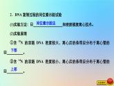 2023新教材高中生物第三章遗传的分子基础第三节DNA通过复制传递遗传信息课件浙科版必修2