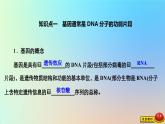 2023新教材高中生物第三章遗传的分子基础第四节基因控制蛋白质合成第一课时转录和翻译课件浙科版必修2