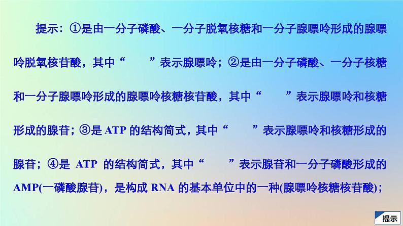 2023新教材高中生物第三章遗传的分子基础第四节基因控制蛋白质合成第一课时转录和翻译课件浙科版必修2第8页