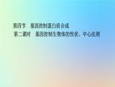 2023新教材高中生物第三章遗传的分子基础第四节基因控制蛋白质合成第二课时基因控制生物体的性状中心法则课件浙科版必修2