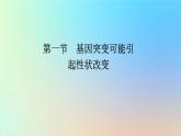 2023新教材高中生物第四章生物的变异第一节基因突变可能引起性状改变课件浙科版必修2