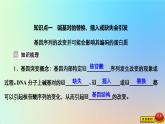 2023新教材高中生物第四章生物的变异第一节基因突变可能引起性状改变课件浙科版必修2