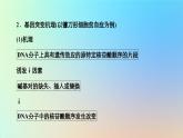 2023新教材高中生物第四章生物的变异第一节基因突变可能引起性状改变课件浙科版必修2
