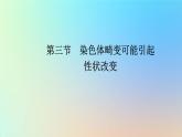 2023新教材高中生物第四章生物的变异第三节染色体畸变可能引起性状改变课件浙科版必修2