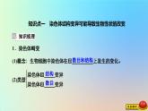 2023新教材高中生物第四章生物的变异第三节染色体畸变可能引起性状改变课件浙科版必修2