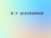 2023新教材高中生物第五章生物的进化第二节适应是自然选择的结果课件浙科版必修2