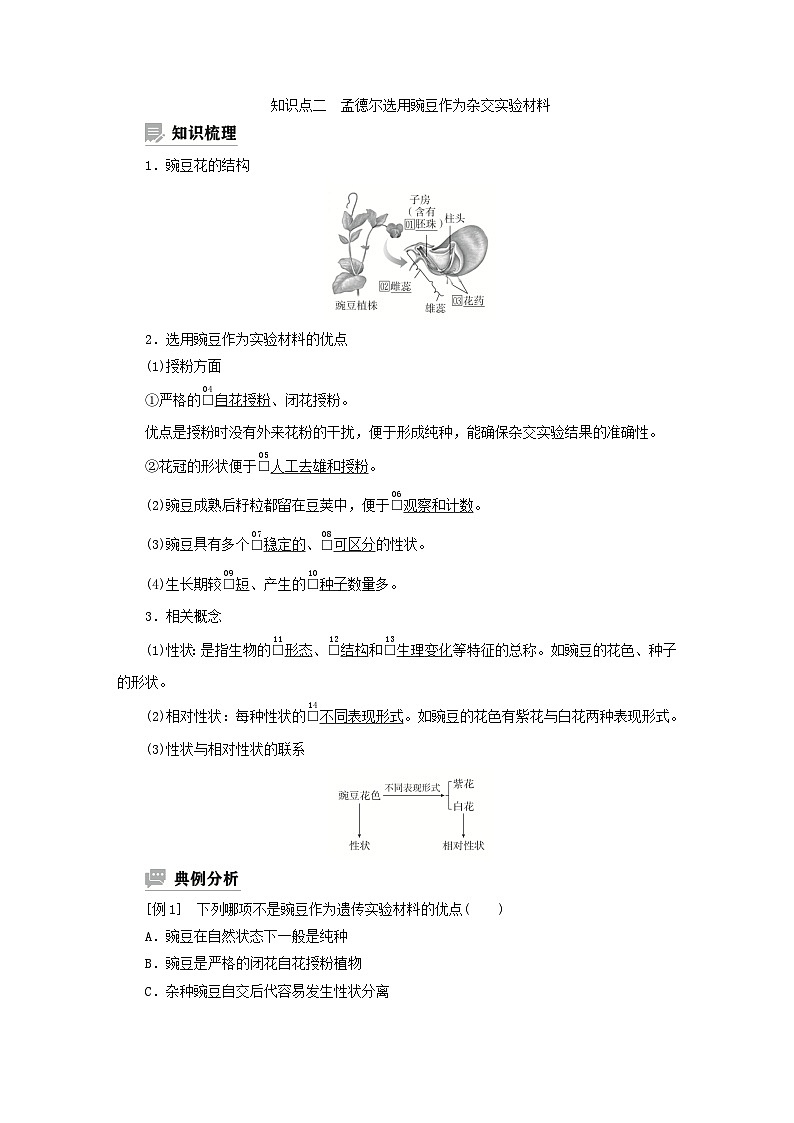 2023新教材高中生物第一章遗传的基本规律第一节孟德尔从一对相对性状的杂交实验中总结出分离定律第一课时一对相对性状杂交实验的过程和解释学案浙科版必修2第2页