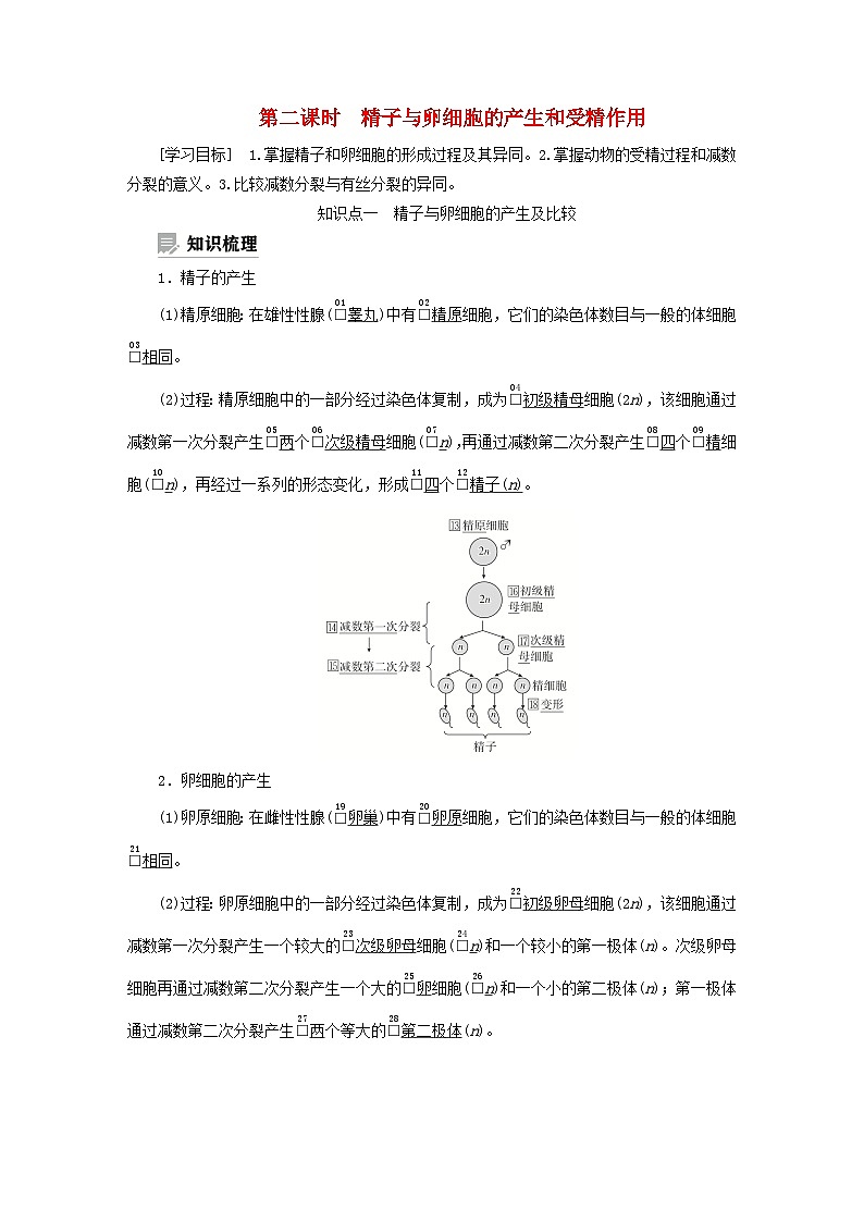 2023新教材高中生物第二章染色体与遗传第一节染色体通过配子传递给子代第二课时精子与卵细胞的产生和受精作用学案浙科版必修2第1页
